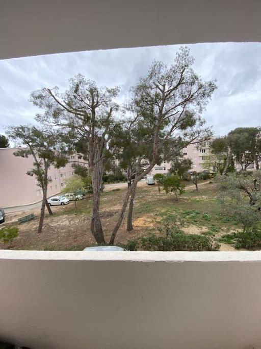 T3 La Ciotat Plage Bagian luar foto